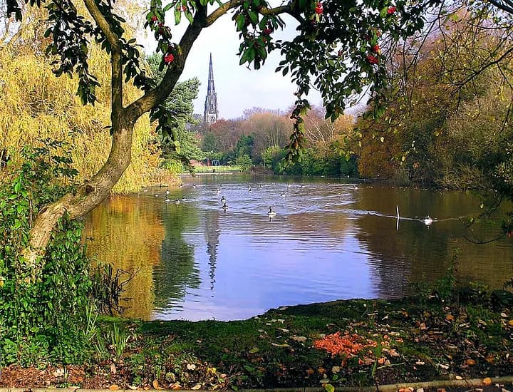 Geese on the water at Broughton